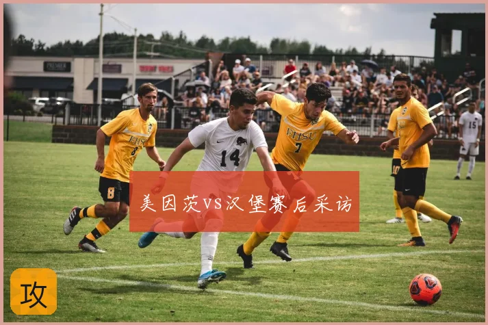 美因茨vs汉堡赛后采访
